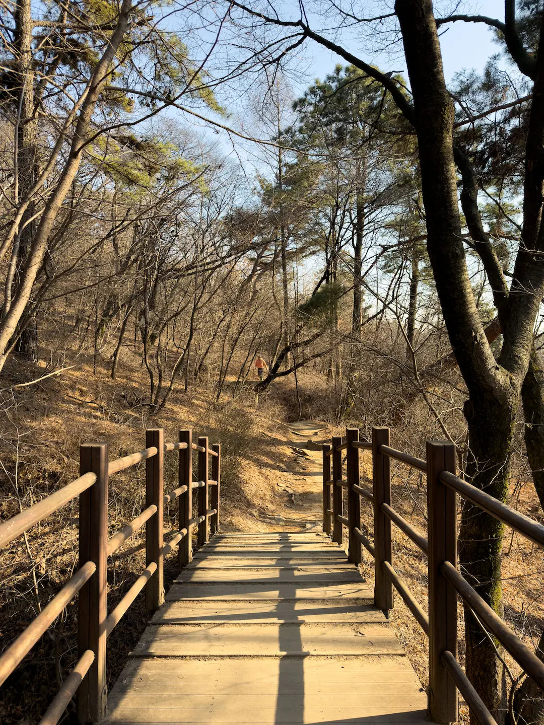 A Runner's Guide to Seoul